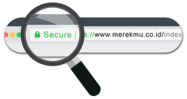 Why Using SSL? Why Using SSL?